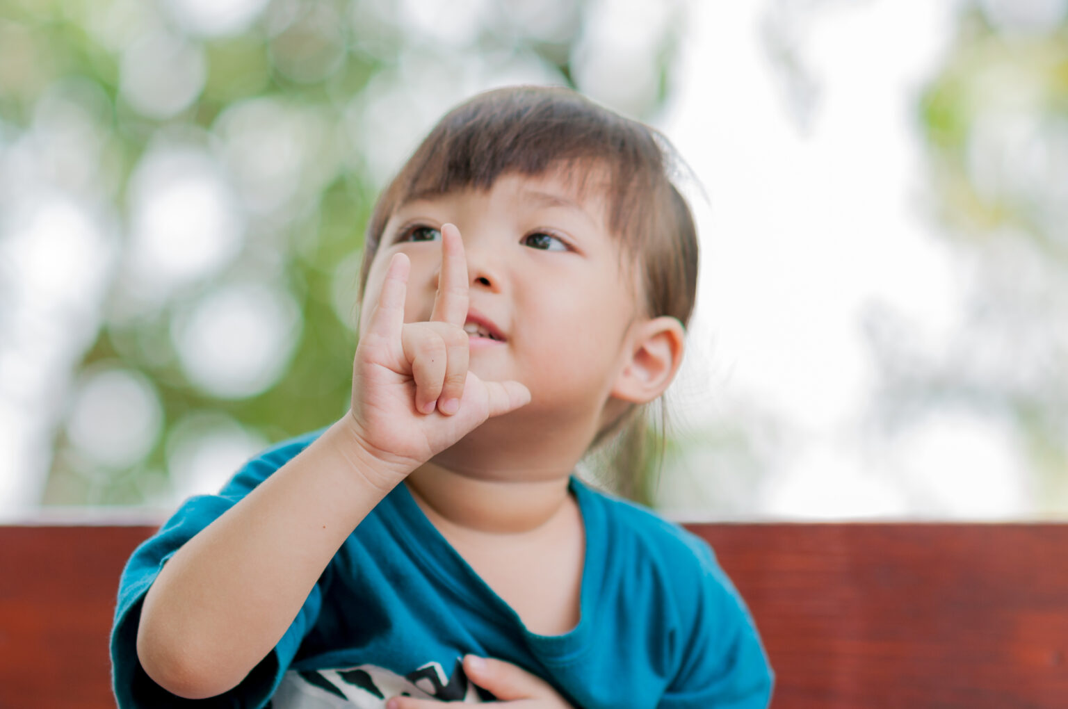 ece-131-sign-language-for-toddlers-hdi-learning