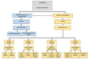 Guardianship Staffing Roles and Responsibilities – HDI Learning