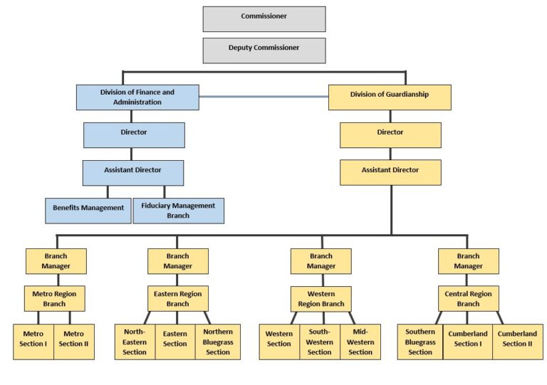 Guardianship Staff Roles and Responsibilities – HDI Learning