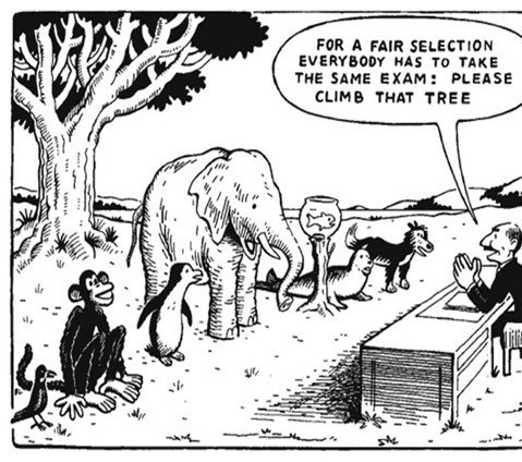 In this cartoon, a monkey, penguin, elephant, goldfish, seal and dog are lined up before a tree. A man at a desk and his speech bubble reads "For a fair selection, everybody has to take the same exam: Please climb that tree."